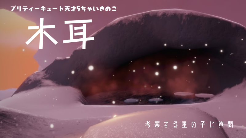木耳/考察する星の子に質問
